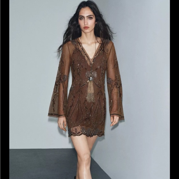 Zara Limited edition EMBROIDERED DRESS ZW COLLECTION Elegant Brown Sheer Dress
